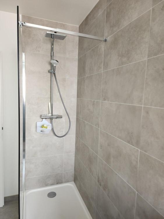 Appartement Fleur De Houblon Schiltigheim Dış mekan fotoğraf