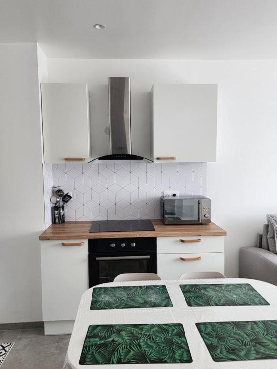 Appartement Fleur De Houblon Schiltigheim Dış mekan fotoğraf