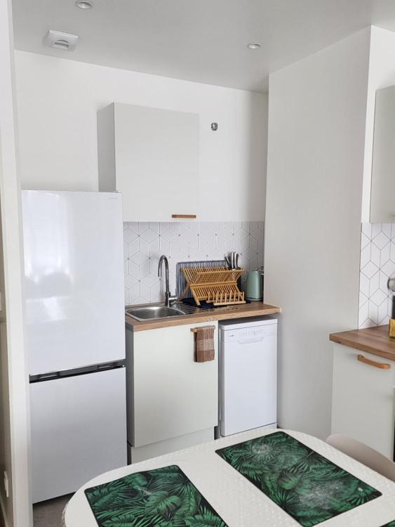 Appartement Fleur De Houblon Schiltigheim Dış mekan fotoğraf