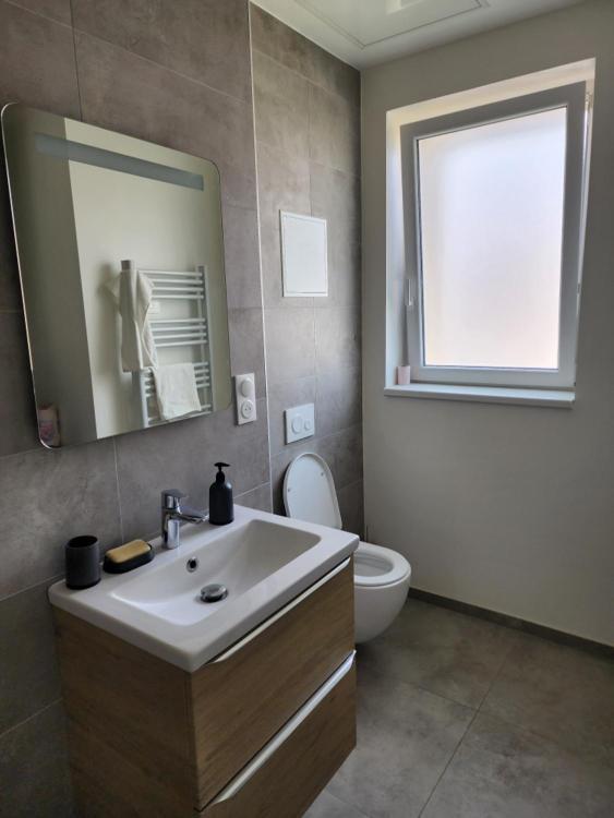 Appartement Fleur De Houblon Schiltigheim Dış mekan fotoğraf
